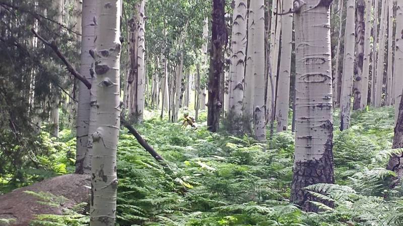 Fat Biking the&nbsp;AZT