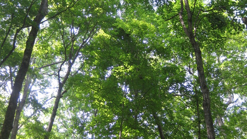 Mammoth Cave National&nbsp;Park