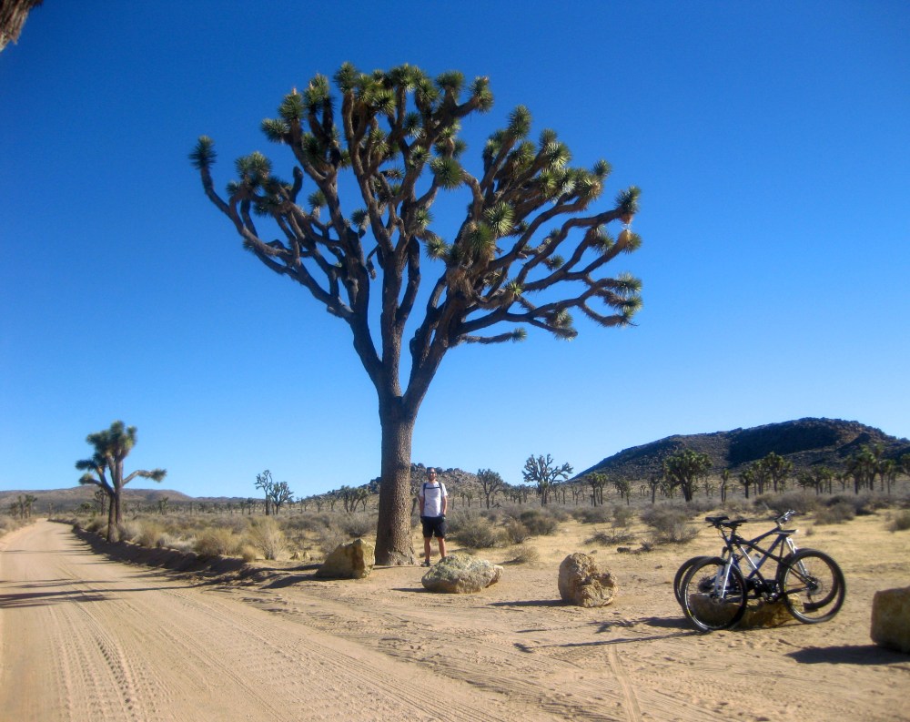 Mountain Bike Joshua Tree