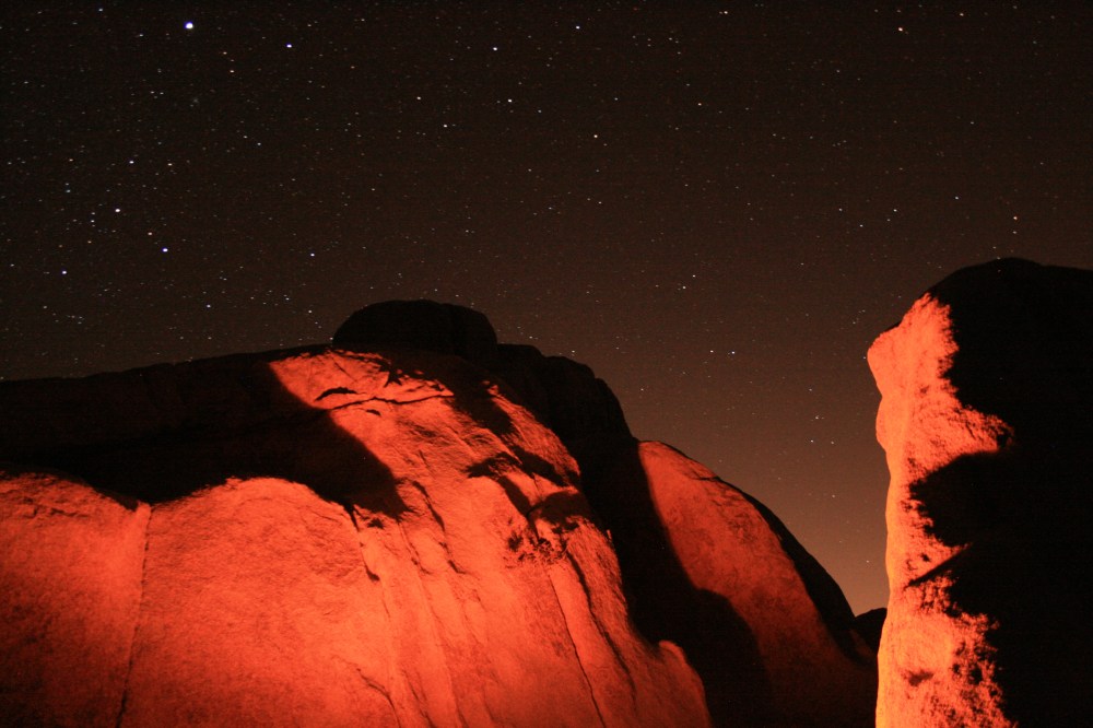 Night Sky Joshua Tree 2013