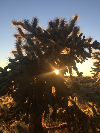 2016-02-13_004922529_162FE_iOS