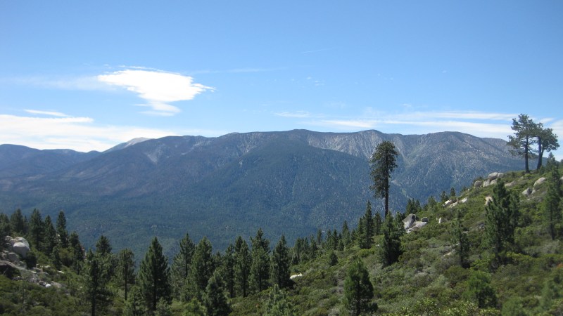 Big Bear, Big&nbsp;Fail