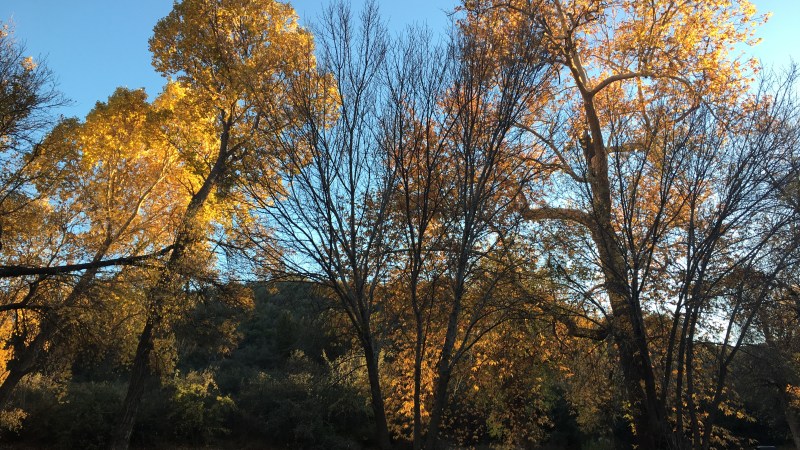 Camping Alone: My First Solo Bikepacking&nbsp;Trip