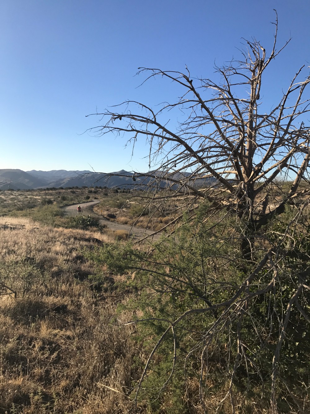 2016-11-19_08-20-10_102